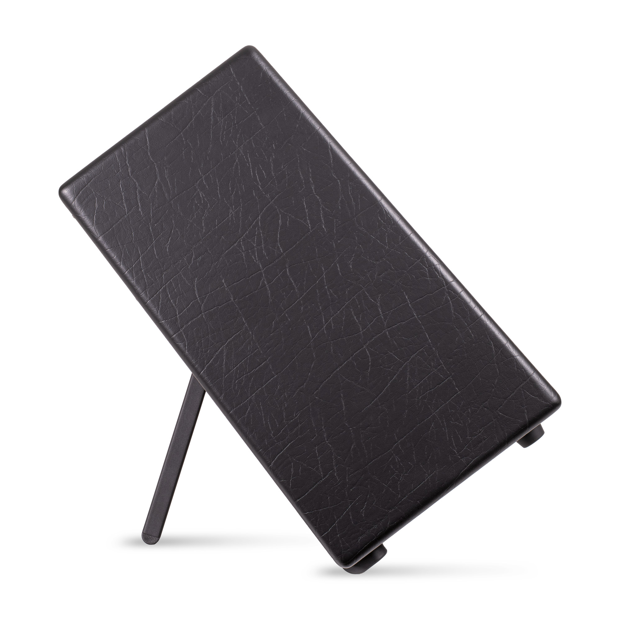 Artist FR 100 Special 1x12" Schwarz